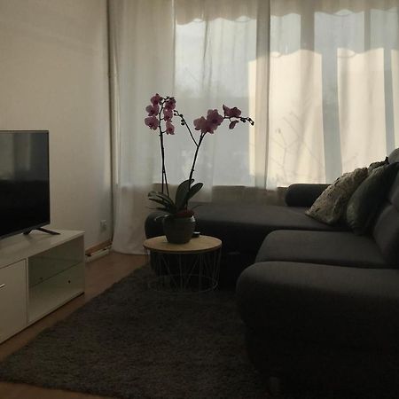 Bel Appartement Near Bale Mulhouse Airport 圣路易 外观 照片