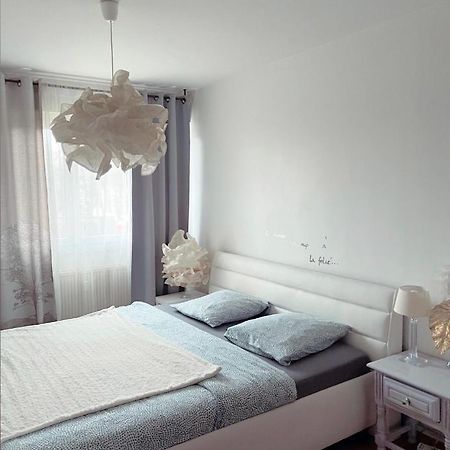 Bel Appartement Near Bale Mulhouse Airport 圣路易 外观 照片