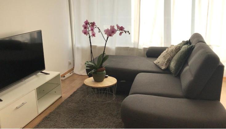 Bel Appartement Near Bale Mulhouse Airport 圣路易 外观 照片