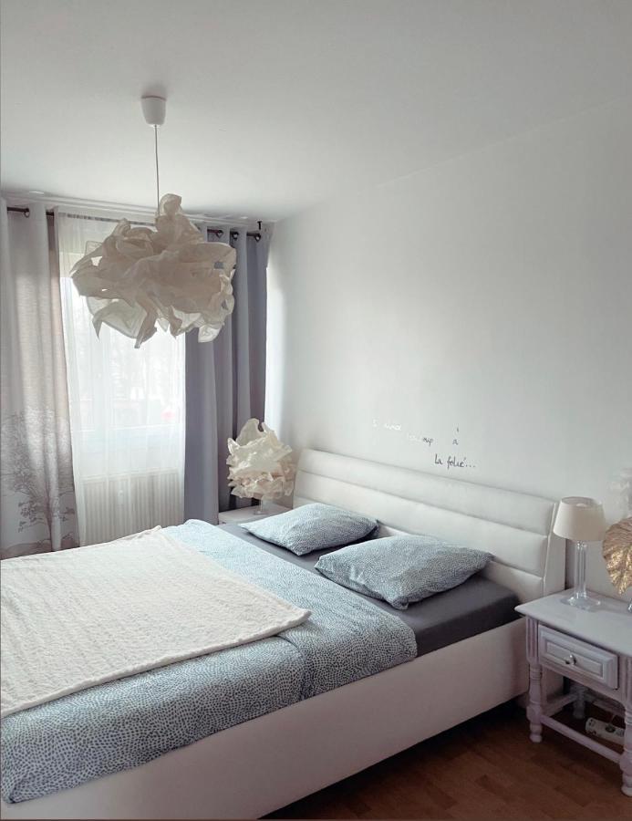Bel Appartement Near Bale Mulhouse Airport 圣路易 外观 照片