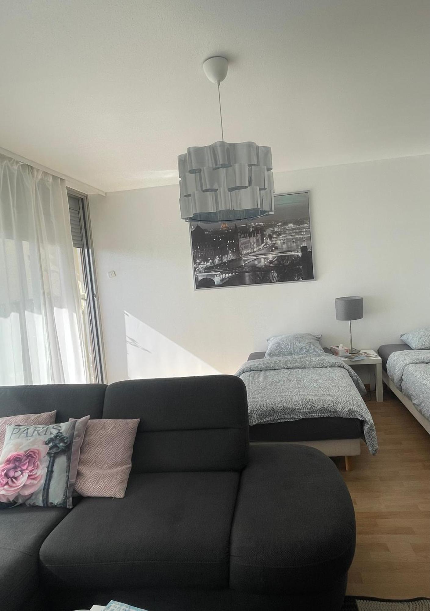 Bel Appartement Near Bale Mulhouse Airport 圣路易 外观 照片