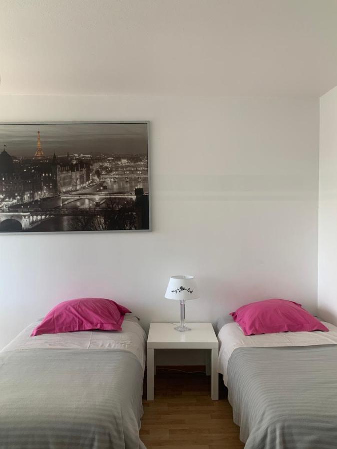 Bel Appartement Near Bale Mulhouse Airport 圣路易 外观 照片