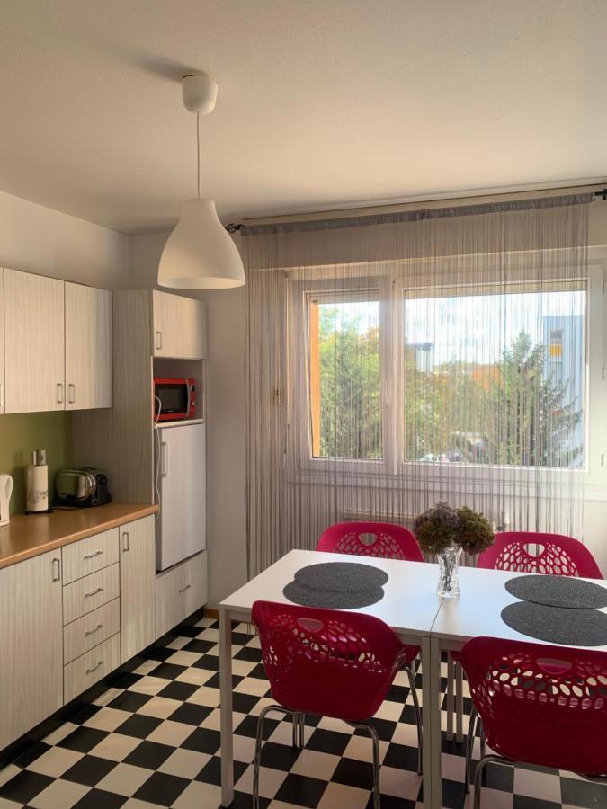 Bel Appartement Near Bale Mulhouse Airport 圣路易 外观 照片